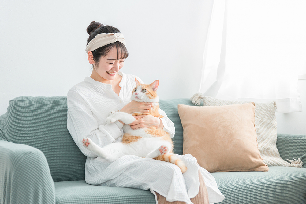 猫フィラリア症とは