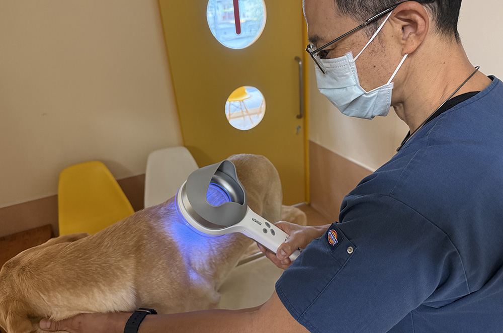 皮膚科で行う検査