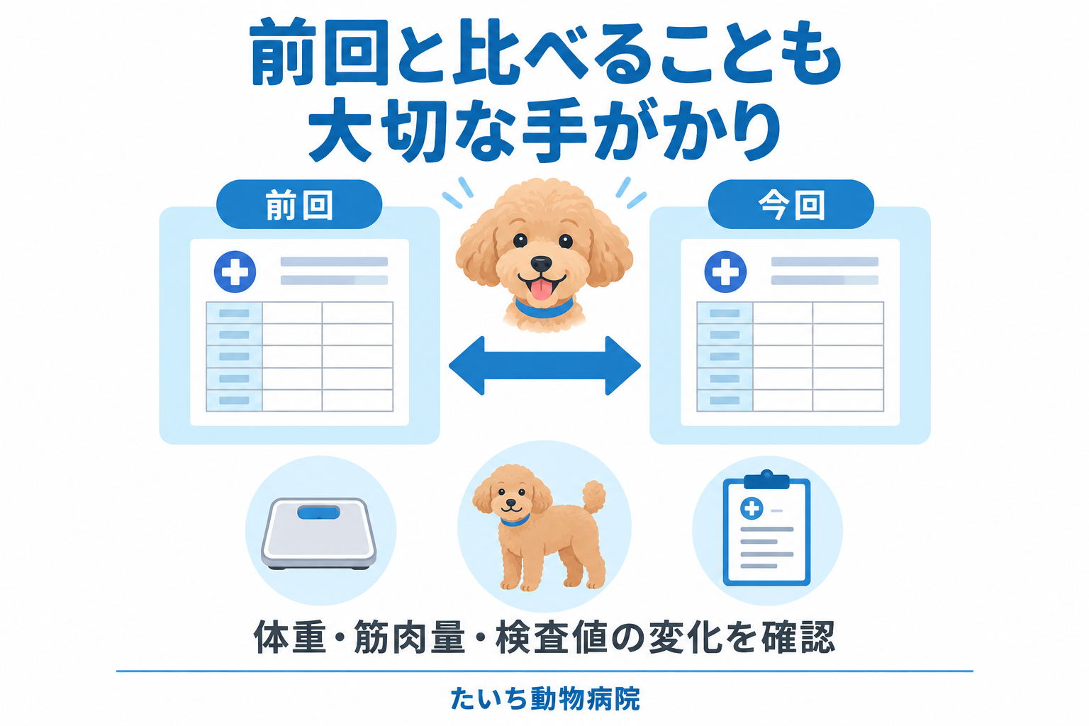 前回と比べることも大切な手がかり 前回と今回の記録を比べ、体重・筋肉量・検査値の変化を確認する図