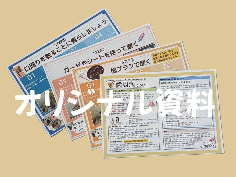 オリジナル資料